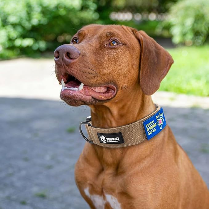 TSPRO Premium Dog Collars Tactical Dog Collar with Patch and Heavy Duty Quick-Release Metal Buckle Durable Thick and Adjustable for Medium to Large Dogs (Khaki M)