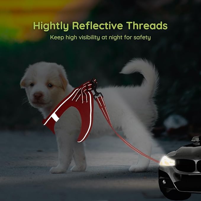 BELLA & PAL Step in Vest Harness for Small and Medium Dogs, No Pull Small Dog Harness with Leash Set, Comfortable Air Mesh Dog Vest Harness with Reflective Strip (Red, M)