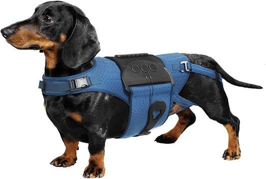 Dog Back Brace for IVDD, Arthritis, Slipped and Herniated Discs – Provides Back Support and Pain Relief, Stabilizes Spine for Surgical Recovery and Mobility, Dogs Back Disease Prevention(Blue,S)