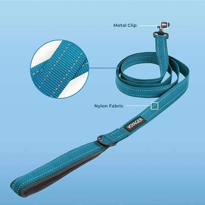 Voyager Reflective Dog Leash with Neoprene Handle, 5ft Long, Supports Small, Medium, and Large Breed Puppies, Cute and Heavy Duty for Walking, Running, and Training - Turquoise (Leash), S