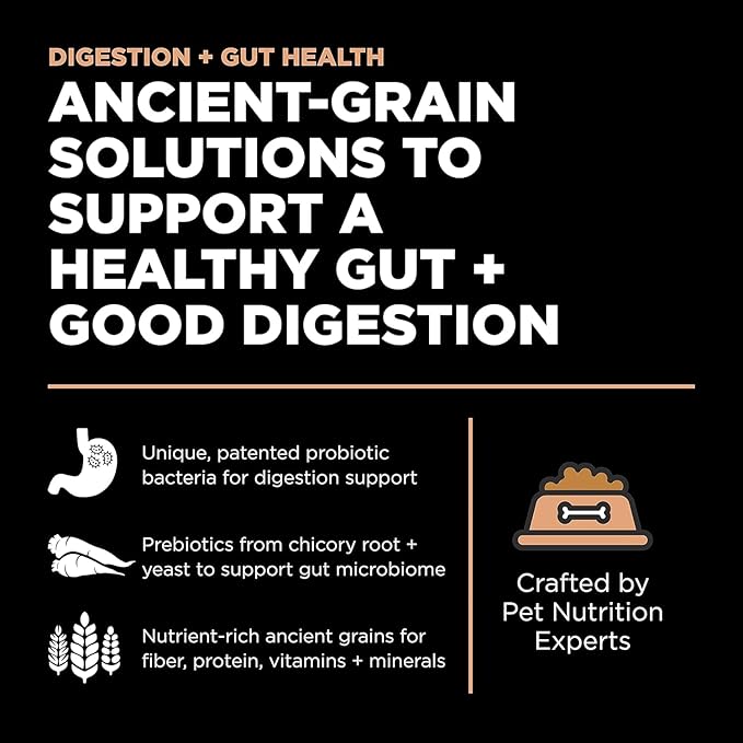 Go! Solutions Digestion + Gut Health, Dry Dog Food, Salmon Recipe with Ancient Grains, 22 lb Bag