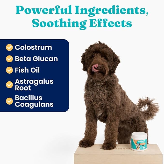 Solid Gold Dog Allergy Relief Chews - Dog Itching Skin Relief & Seasonal Allergies Support - Alaskan Salmon Oil for Dogs Skin, Coat & Immune Support - Bacon Flavor Soft Allergy Chews for Dogs -120ct