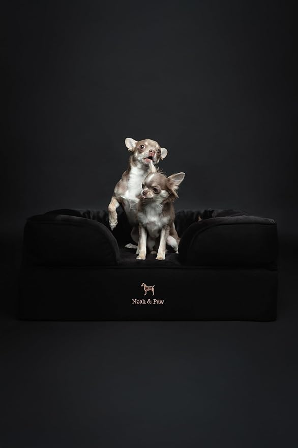 NOAH & PAW Dog Bed, 28x23x11 Inch, Orthopedic Dog Beds for Medium Size Pets, Eggshell Memory Foam Infused with Cooling Gel, Inner Cover, Waterproof, Machine Washable (Denim Sofa Collection)