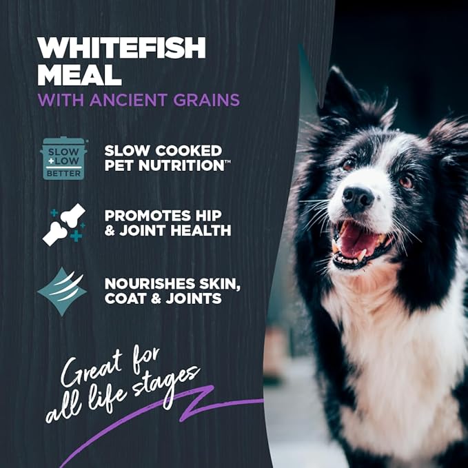 Blackwood Large Breed Dry Dog Food, Whitefish with Ancient Grains, 10 Pound Bag for Adult Dogs, Slow Cooked with Green Mussels to Promote Hip & Joint Health