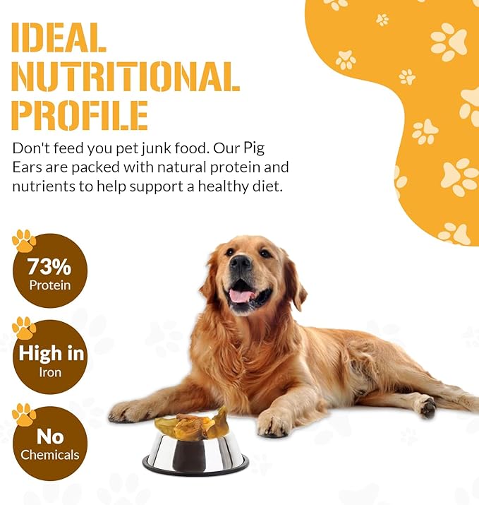 Dog Chits Pig Ears Dog and Puppy Treats - All Natural Grain and Chemical Free Training Chews - High Protein and Low Fat - Supports Dental Health - Made in The USA - 15 Pack