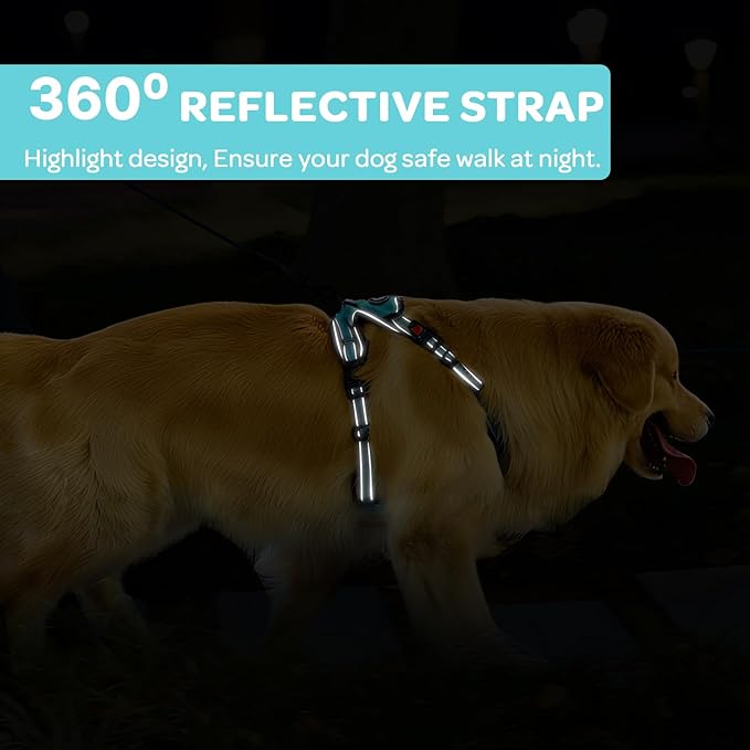 FURRYFECTION Dog Harness | No Pull Dog Harness | Reflective Oxford | Padded Handle | 4 Adjustable Straps | 2 Leash Clips | No Choke Pet Vest Harness for Small Medium Large Dogs | Turquoise | M