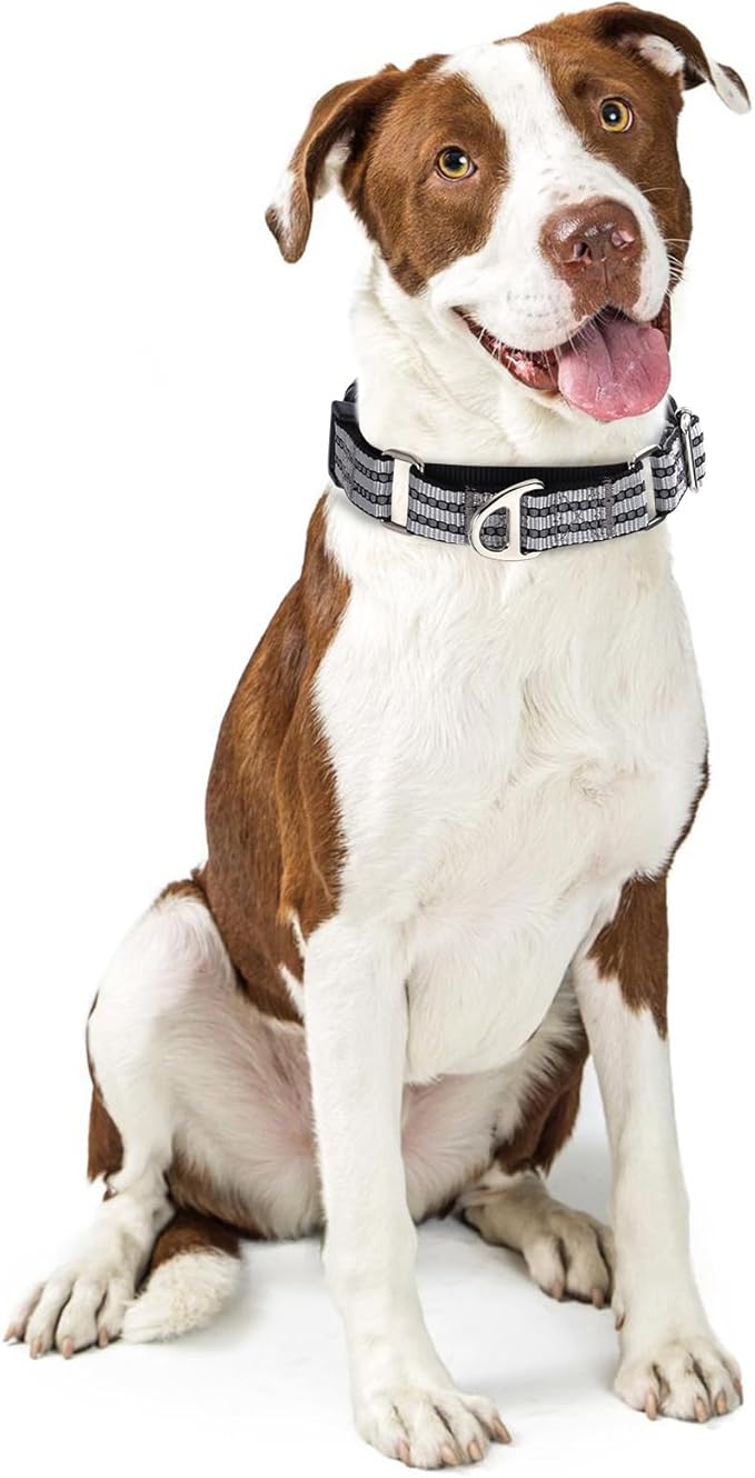 Martingale Collar for Dogs - Reflective Nylon No Slip Choke Heavy Duty Collar with Quick Release Buckle -Safe Fit for Training & Walking Silver L