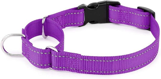 PLUTUS PET Reflective Martingale Collar with Quick Snap Buckle,No Pull Dog Choker Collar for Small Medium Large Dogs,XS,Purple