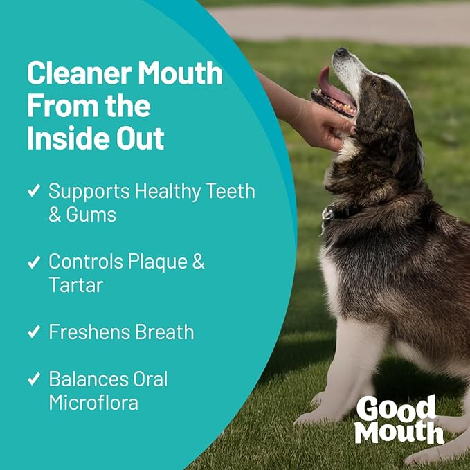 Good Mouth Dental Chews for Dogs – Controls Plaque & Tartar, Promotes Fresh Breath, Supports Gum & Oral Health – Clinically Studied, Cheeseburger Flavor, No Mess, 60 Soft Chews
