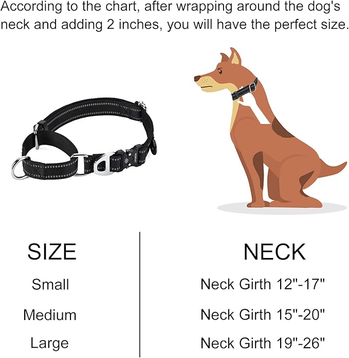 Martingale Dog Collar Reflective Nylon Soft Cushion with Alloy Buckle Dog Collar Martingale Small Medium and Large Dogs (Large, Purple)