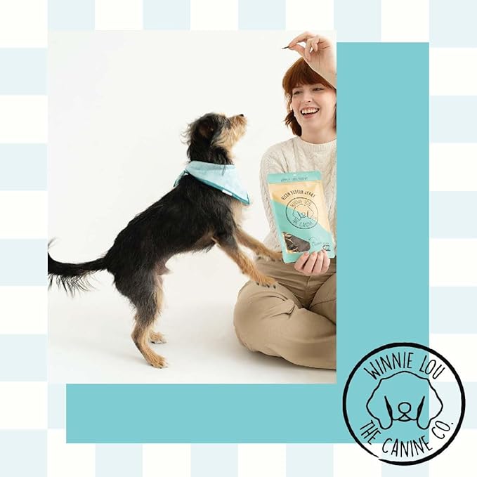 Winnie Lou Bison Burger Jerky Dog Treats – Limited Ingredient, Human Grade, Training Treats for Small, Medium & Large Dogs, Made in USA (2 Pack)