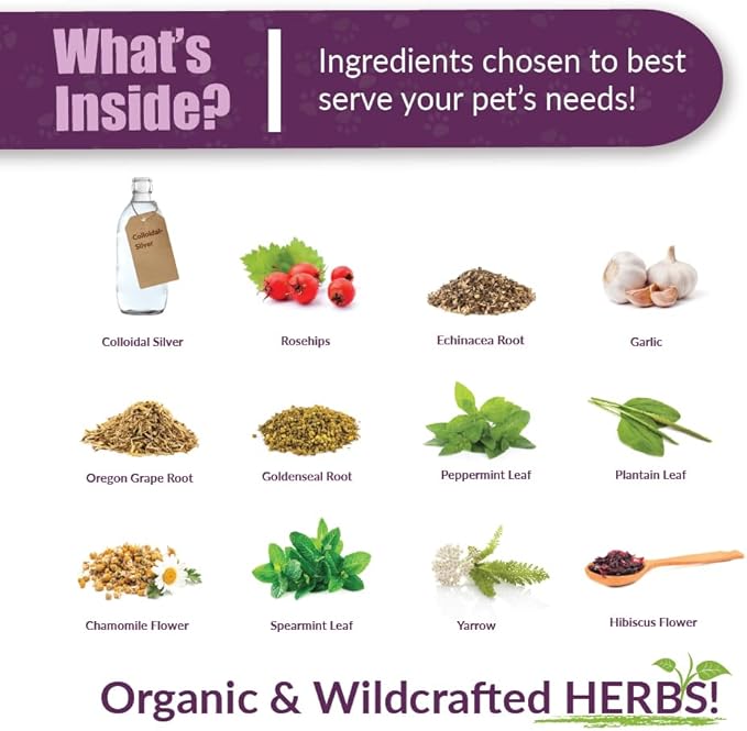 Amber NaturalZ Paxaid Digestive Rescue for Dogs and Puppies | Supports Normal Appetite, Gut Function, and Stool Consistency During Occasional Gastric Discomfort and Dietary Changes