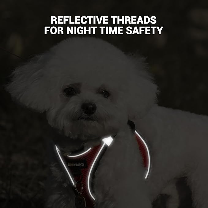 Dog Harness and Leash Set, Dog Harness for Dogs No Pull, No-Chock Step-in Reflective Breathable Lightweight Easy Walk Vest Harnesses with Safety Buckle for Small Medium Dogs, Cats (Red, S)