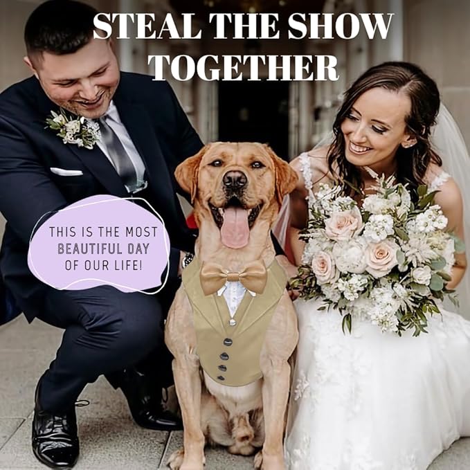 AVERYDAY Dog Tuxedo for Wedding Outfit, Dog Suit and Tie Costumes for Birthday, Halloween, Cosplay, Christmas Party, Pet Formal Wear with Bowtie, Tux for Medium Large Dogs, Bulldog, Labrador, Husky