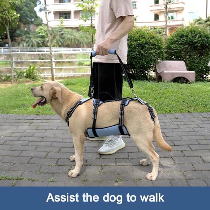Coodeo Dog Lift Harness, Support & Recovery Sling, Pet Rehabilitation Lifts Vest Adjustable Breathable Straps for Old, Disabled, Joint Injuries, Arthritis, Paralysis Dogs Walk (Blue,M)