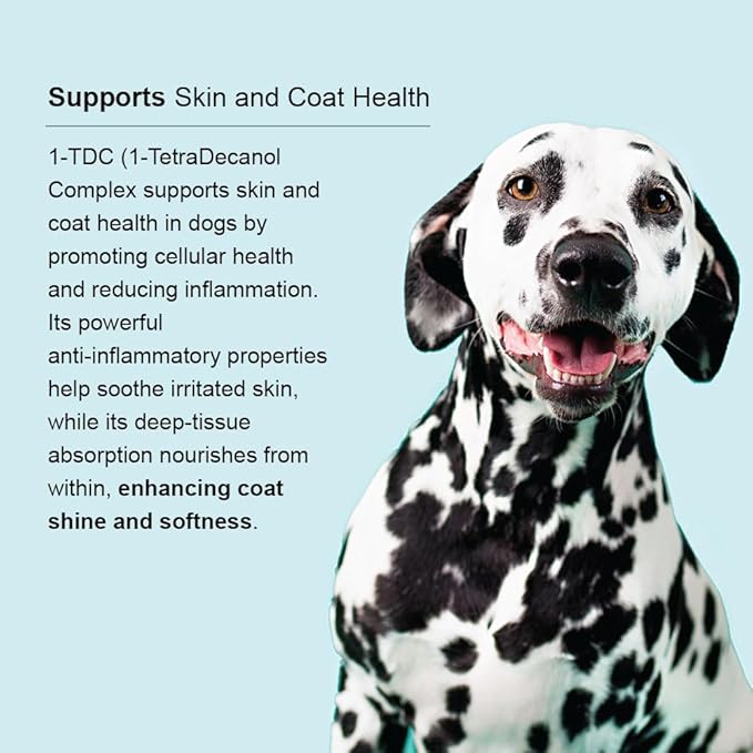 1-TDC Periodontal - Support Healthy Teeth Gums in Dogs Cats - Safe Non-invasive - 120 Capsules