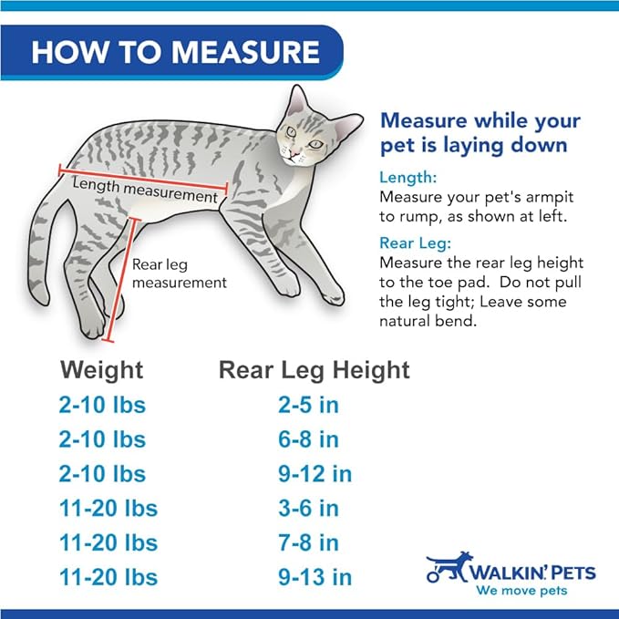 Walkin' Wheels Lightweight – for Small Cats 2 to 20 Pounds – Veterinarian Approved – Cat Wheelchair for Back Legs, for Cats 11-20 lbs, 7-8 inches Leg Height – Seafoam