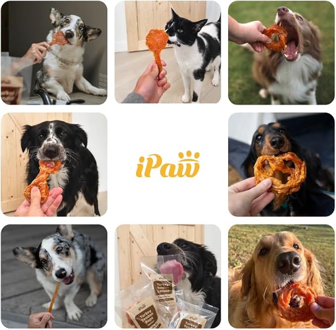 iPaw Turkey Tendons for Dogs, 100% Turkey and US Sourced Raw Material, Hypoallergenic, All Natural Human Grade Puppy Chew, Rawhide Alternative Dog Treats, 4 Units/Pack Ring (Small)
