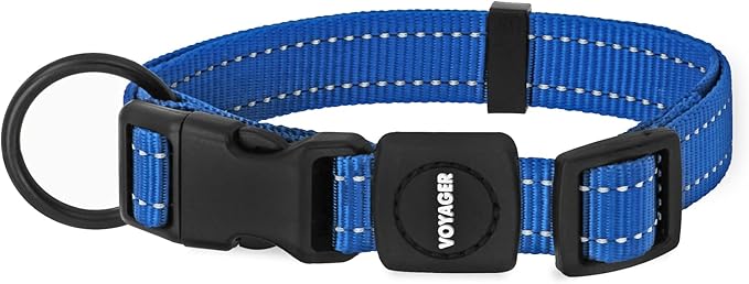 Best Pet Supplies Reflective Dog Collar with Adjustable Length, Heavy-Duty Buckle, and Strong Leash D-Ring, Training, Walking, Jogging Accessory for Small, Medium, and Large Breeds - Royal Blue, S