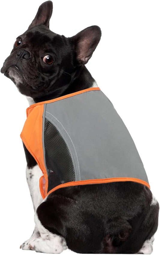 DORA BRIDAL Reflective Dog Vest for Small Dogs, Orange High Visibility Safety Pet Vest for Hunting, Walking at Night