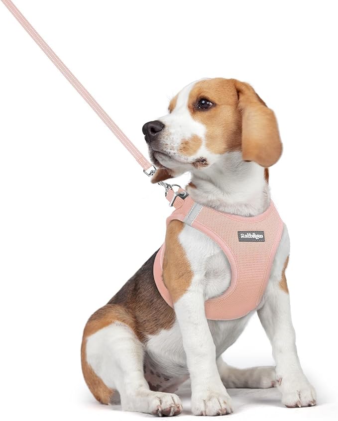 rabbitgoo Dog Harness Small Medium Sized and Leash Set, Step in Soft Light Puppy Vest, Breathable Mesh Pet Harness, Reflective for Safe Outdoor Walking, Pink L