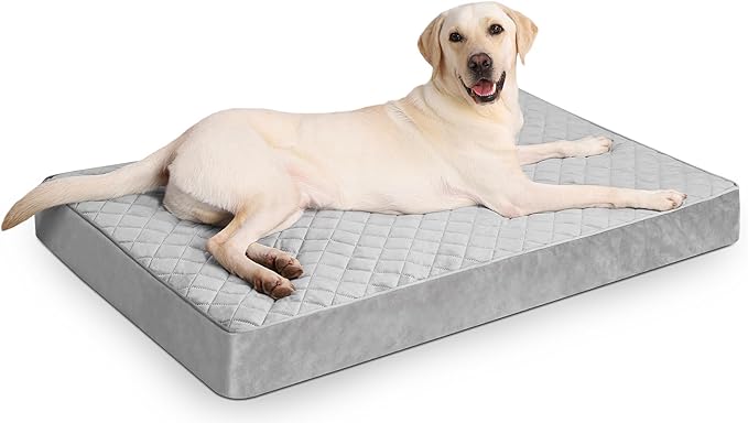 Orthopedic Dog Beds for Extra Large Dogs Waterproof with Removable Washable Cover and Non-Slip Bottom, 47x29 Inch, Light Gray