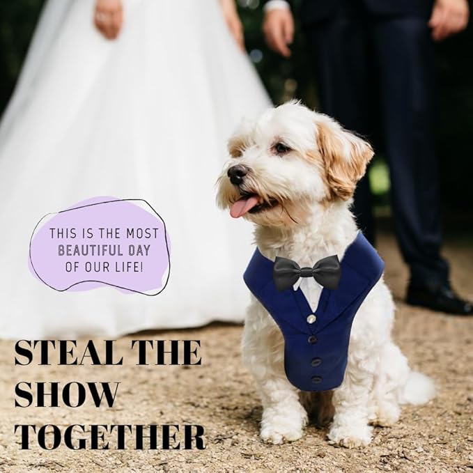 AVERYDAY Dog Tuxedo for Wedding Outfit, Dog Suit and Tie Costumes for Birthday, Halloween, Cosplay, Christmas Party, Pet Formal Wear with Bowtie, Tux for Small Dogs, Chihuahua, Bichon, Maltese, Cats