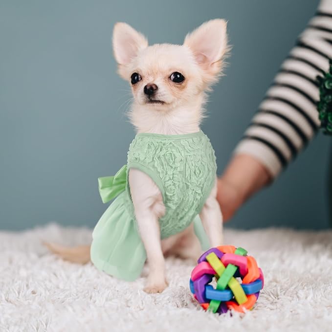 ASENKU Dog Dress Pet Wedding Dress Princess Lace Puppy Birthday Party Outfit Formal Apparel Girl for Small Medium Dogs Cats (XX-Small, Green)
