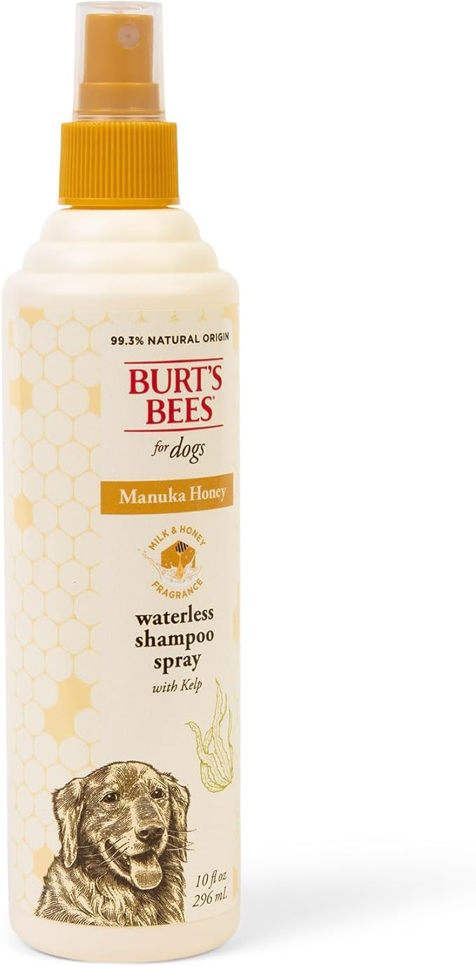 Burt’s Bees Manuka Honey Waterless Shampoo Spray for Dogs with Kelp, 10 Fl Oz