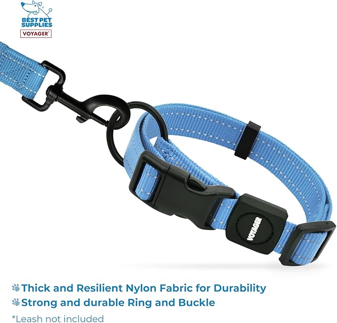 Best Pet Supplies Reflective Dog Collar with Adjustable Length, Heavy-Duty Buckle, and Strong Leash D-Ring, Training, Walking, Jogging Accessory for Small, Medium, and Large Breeds - Baby Blue, S