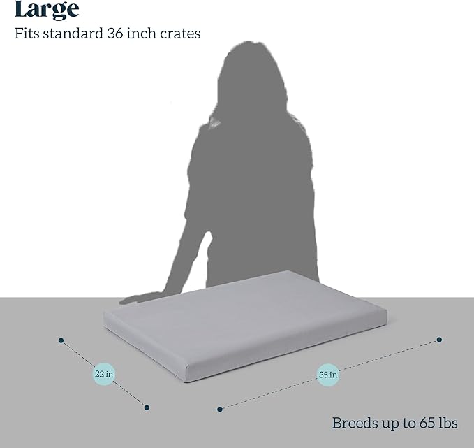 Cybarmour Indestructible Dog Bed - Outdoor Waterproof Chew Proof Dog Crate Pad - Orthopedic Kennel Mat for Aggressive Chewers - Large Breeds & Fits 36-Inch Crate - 35"x22", Limestone