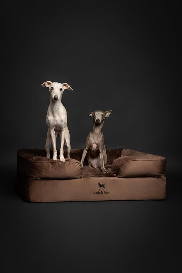 NOAH & PAW Large Dog Bed, 35x25x11 Inch, Orthopedic Dog Beds, Eggshell Memory Foam Infused with Cooling Gel, Inner Cover, Waterproof, Machine Washable (Velvet Sofa Collection)