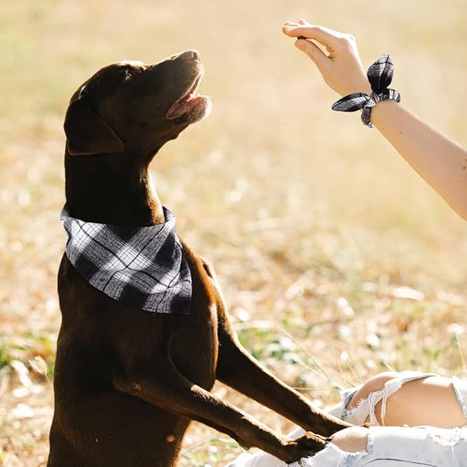 E-Clover Dog Bandanas & Matching Scrunchie Set Boy Plaid Dog Scarf Triangle Bandana Bibs for Medium Large Dog Owner Birthday Gifts Black White