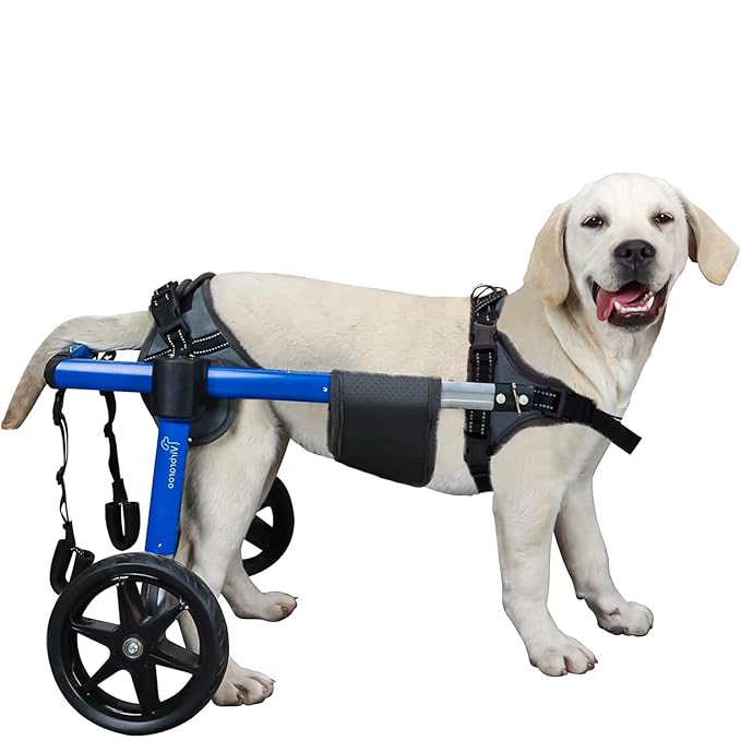 Dog Wheelchair for Back Legs, Dog Wheelchair with All-Terrain Tires & Durable Bearings, Large Dog Wheelchair for Back Legs, 35-48.5 lbs (M)