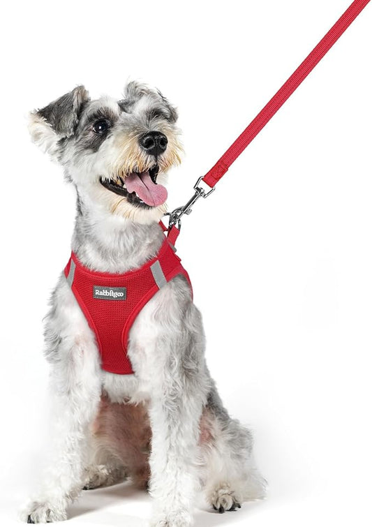 rabbitgoo Dog Harness Small Sized and Leash Set, Step in Soft Light Puppy Vest, Breathable Mesh Pet Harness, Reflective for Outdoor Safe Walking, Red XL
