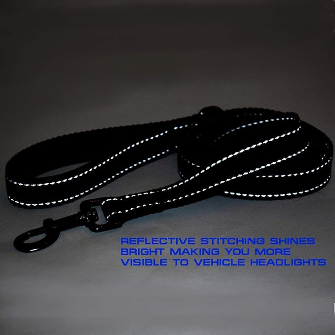 Max and Neo Double Handle Traffic Dog Leash - Reflective, Donates to Dog Rescue (Purple, 6 FT)