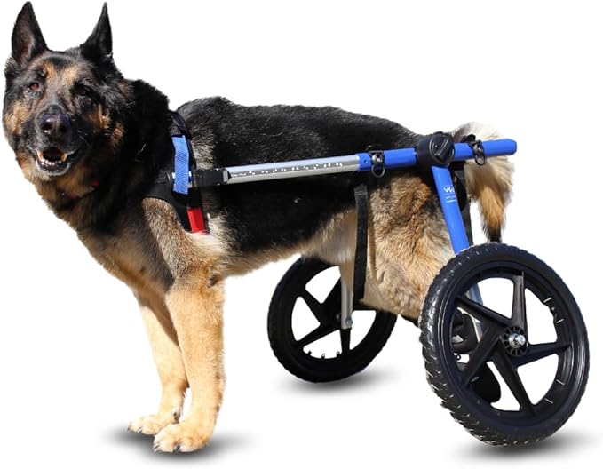 Dog Wheelchair - for Large Dogs 70-180 Pounds - Veterinarian Approved - Dog Wheelchair for Back Legs