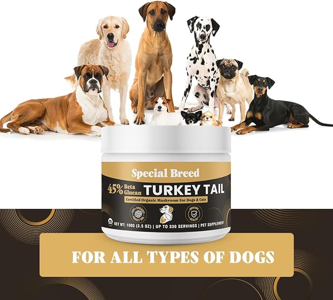 Organic Turkey Tail Mushroom for Dogs & Cats - Hot Water Extracted 45% Beta-Glucan USDA Mushroom Powder for Immune Support, Gut Health, Holistic Defense - No Fillers, Made in The USA - 330 Scoops
