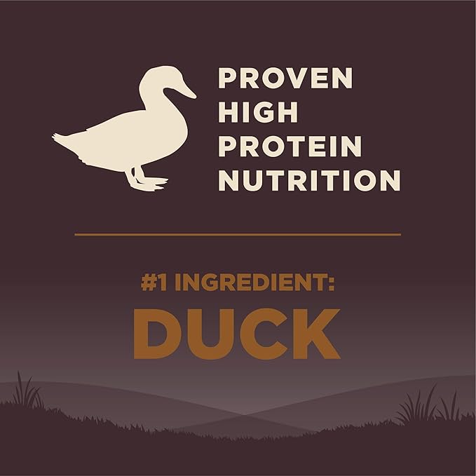 Wellness CORE Grain-Free High-Protein Dry Dog Food, Natural Ingredients, Made in USA with Real Meat, All Breeds, For Adult Dogs (Wild Game Duck, Lamb Meal, Boar & Rabbit, 26-Pound Bag)