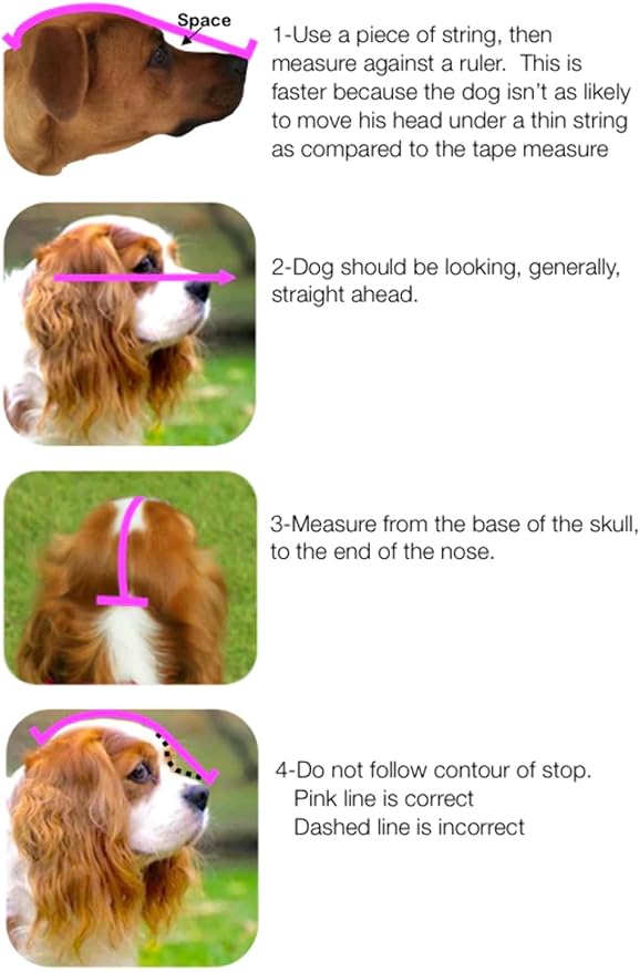 Out Fox Field Guard Size M - Vet-Recommended Dog Safety Mask for Foxtails, Grass Seeds, Bugs and Debris | Breathable, Lightweight, Patented Design | Multiple Sizes