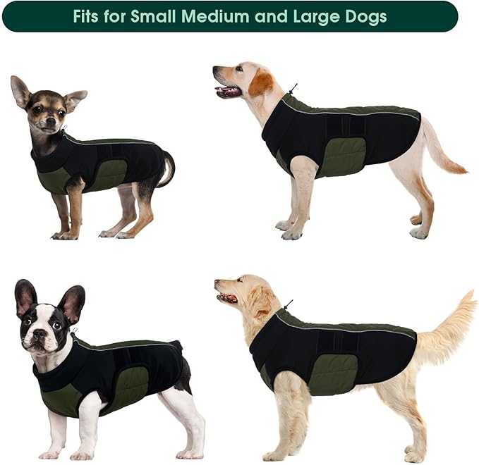 Kuoser Dog Coat for X-Small Dogs | Winter, Waterproof | Keep Tiny Pups Toasty on Chilly Walks! Ultra-Lightweight, Snug Fit - Happy Toy Breeds & No Shivering, Green XS