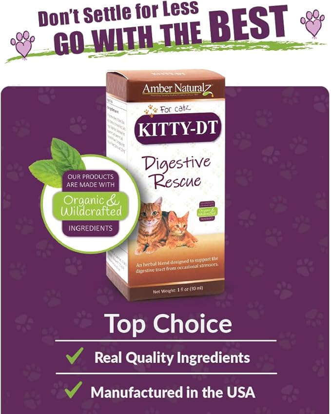Amber NaturalZ Kitty-DT Digestive Rescue Herbal Supplement for Cats | Supports Normal Digestive Function and Occasional Gastric Upsets | Natural Aid for Gastrointestinal Health