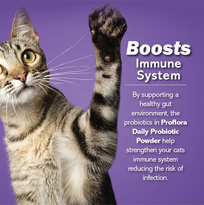 Probiotics for Cats-Complete Gut Health & Immune Support. Easy to Use Digestive Multi-Strain Probiotics. Easier Diet Transitions, Healthier Skin & Coat & Helps Treat Diarrhea. 30 Packets.