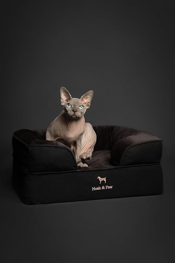 NOAH & PAW Small Dog Bed, 20x15x8 Inch, Cat Bed for Indoor Cats, Orthopedic Eggshell Memory Foam Infused with Cooling Gel, Waterproof Inner Cover Machine Washable (Denim Collection)