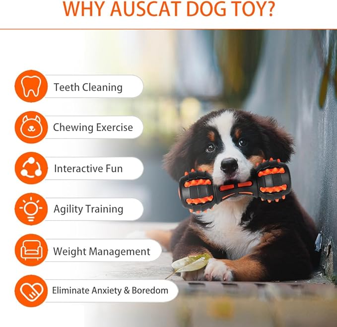 AUSCAT Teething Dog Toys, Durable Squeaky Dog Toys, Rubber Chew Toys for Dogs, Dumbbell Shape, Blue and Black