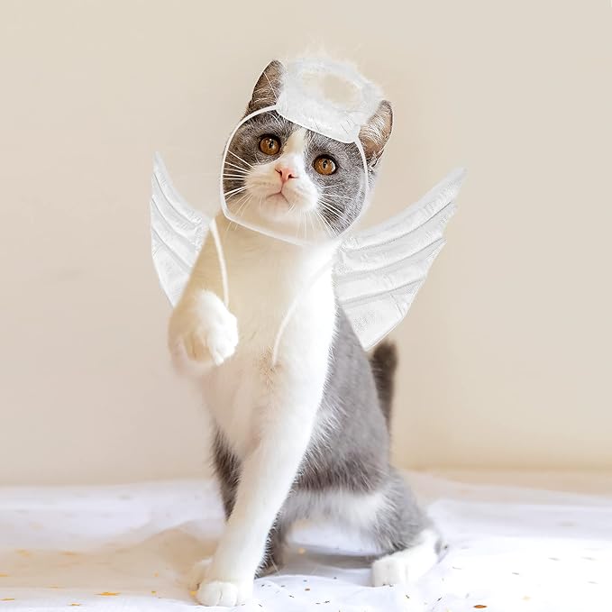 POPETPOP Pet Dog Cat Halloween Costume Angel Wings Shape Clothing - Creative Pet Cat Makeover Clothes for Halloween Festival Party Special Events - Pet Clothes Supplies - Size S (White)