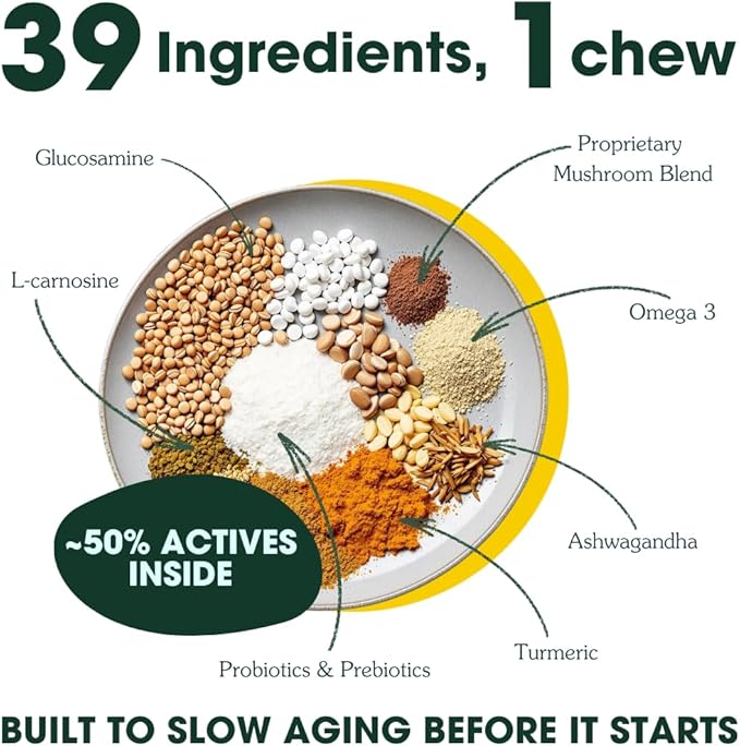 Arterra Longevity Multivitamin for Dogs – 50% Active Ingredients – Vet-Formulated Daily Soft Chews for Gut, Brain, Joint & Immune Health – Human-Grade Supplement | 120 Count