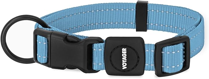 Best Pet Supplies Reflective Dog Collar with Adjustable Length, Heavy-Duty Buckle, and Strong Leash D-Ring, Training, Walking, Jogging Accessory for Small, Medium, and Large Breeds - Baby Blue, L