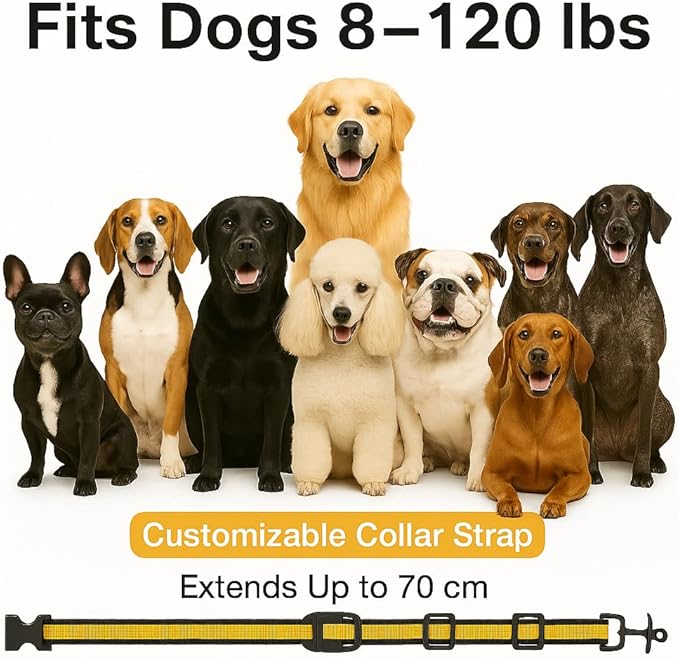 Waterproof Dog Shock Collar with Remote 3300 FT – 3 Modes Beep Vibrate Static, LED Light, 20-Level Adjustable, Rechargeable Training Collar for Small Medium Large Dogs 8-120 lbs