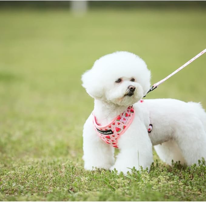 Dog Harness and Leash Set, Adjustable Dog Harness, Dog Leash, No Pull No Choke Puppy Harnesses for Walking Training for Small Medium Pet